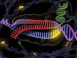Китайские ученые готовы отредактировать геном первых пациентов