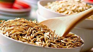 4972ee0c20b330ff92319aeca8c5619a