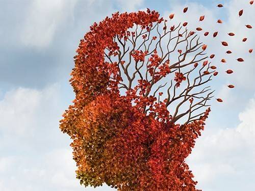 5a3e8bd211f7d5c7e93fb4b6d39c4b6b