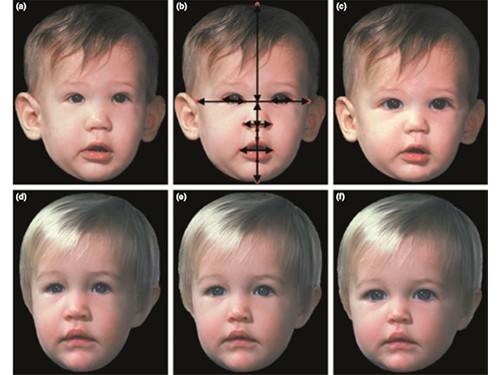 5ea635ac761c637b86fbee66d4ab2329