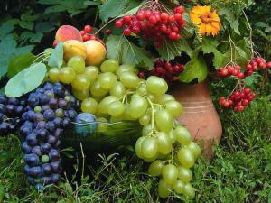 88389c4ff6d4ce144d239ab45c13fd71