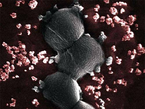 8b7be611a6b6af8bdea78ba3127f37b3