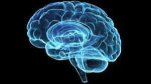 A1e10dedda26d13e1c53087041b2202b