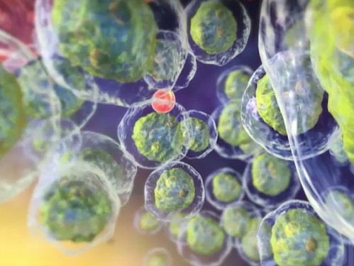 A8437e348a2c82e35285184053d0c870