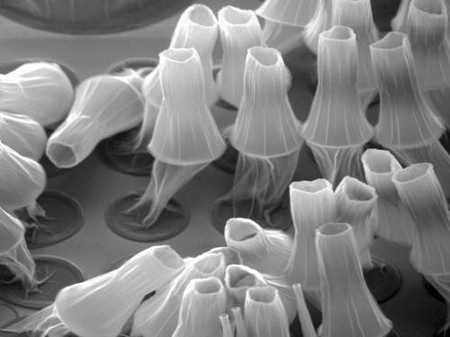 Bb3f0bf4ae059afddf196d8fd0e9377f