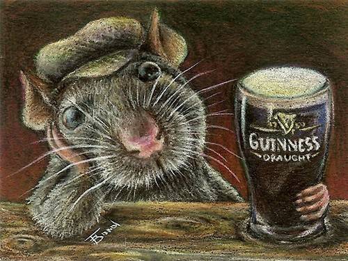 D13a1ddd044a73fcfe6d562f1c0f5ac2