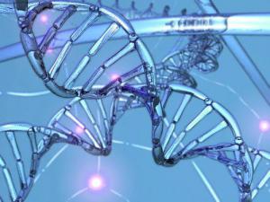 Ec4a68ee39300226a68be8f39645aedb