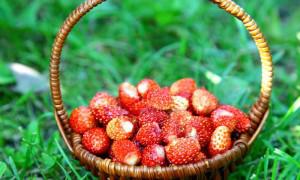 F25752ae8fa7e36ee45909e66a15aaf2