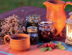 7bb085ebdf187744315c5838c49ecb5b