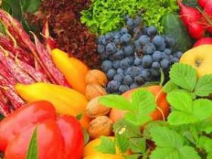 0eff470d7d18f2d6e45341403fff4421