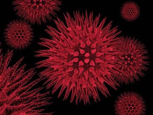 192d5fc8d75ccecf83a317be7921b24e