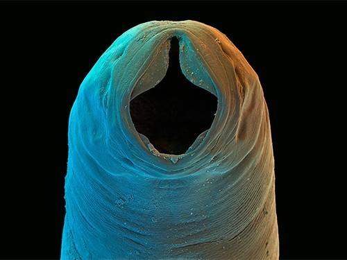 536504f0d3e4084b1ec1192dbf861590