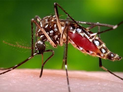 593f126edb8586f844e5b6ec1b562972