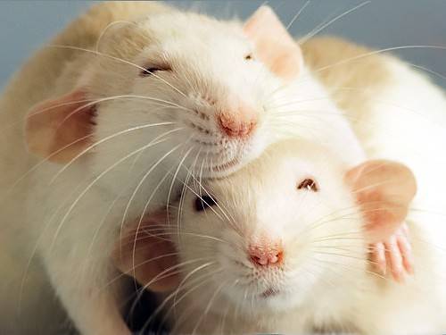 7a73f7644e7f3522365591fd743653da