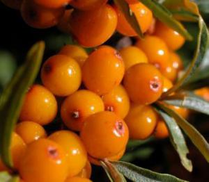 0408938cd4b9f5f853033b835659185c