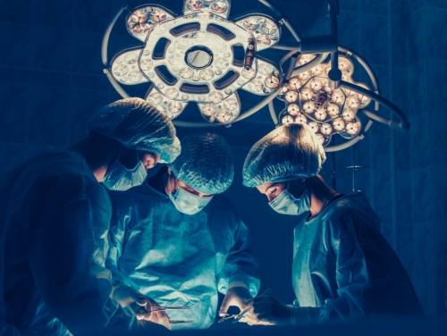 403b4df3f46ccb258fe2ddbf5dbbf852