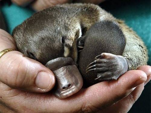 4d46d44b3062ee917e1f2bb6acd18f2e