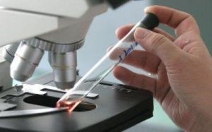 5c2b9aed099b0369199cf96fc69187e0