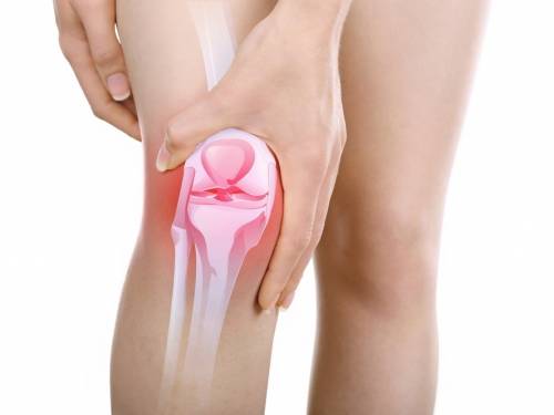 81fb45c98e5e871de89de555e40b3651