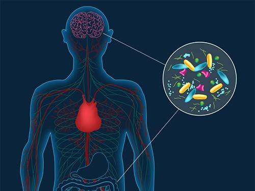 9b0a78921b8cd0a0c9fc3abb9ac92d6f