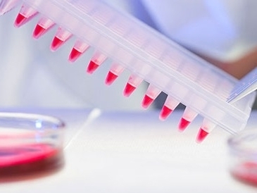 A4beeb09cc3d9fa6020a128d6459a981