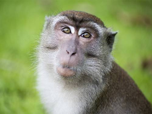 A8a7b01328ab2951496e56e138f88040