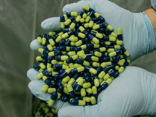 E8d122480c185cf856ccb60d020c3500