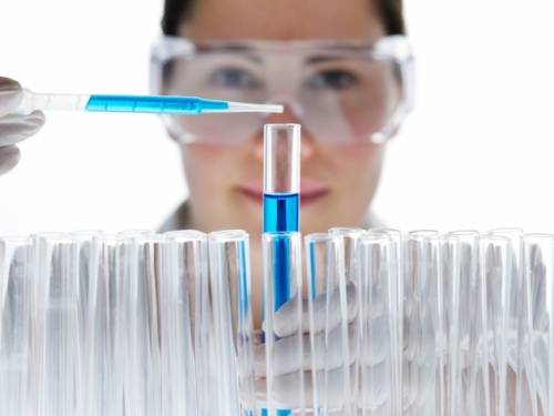 Ec6c91c3d279863a5a9112bcd81ea8cb