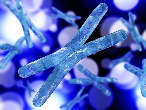 0c74c75bd86786fd1ea0c208b1bd91b6