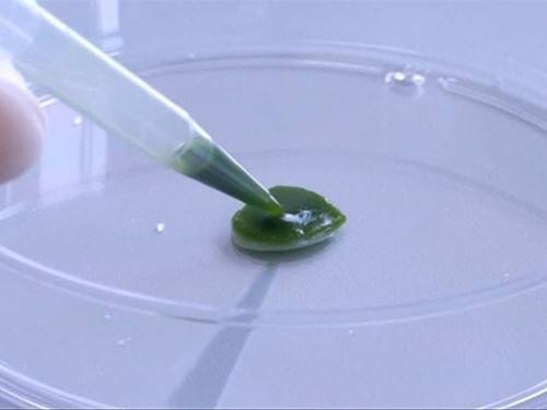 54e12168717e017cf7a9e4b8a519ccea