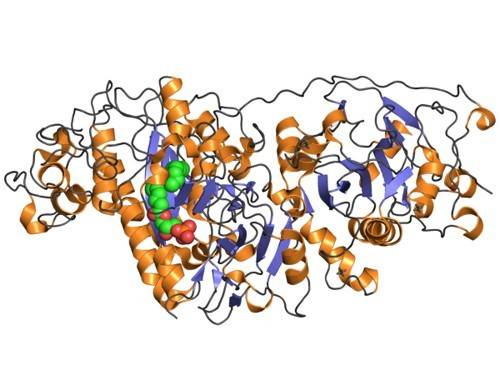 A8782a4425b463dc7e9e05dfd918798b