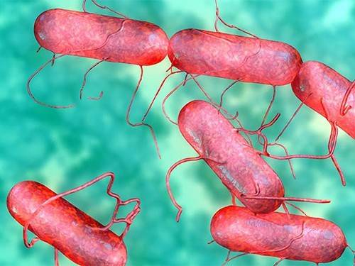 B7e3f47d4976226efafc103986701a98