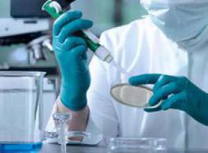 041ee9df9812980f82bd414f370fe391