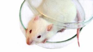 73b492cd8ae59482875a898f72c05030