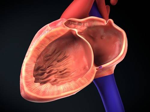 7b478244d9e5f4c078b1cbc6cb50eda3