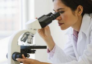 A2e783c82a652b7ee93e51b577699bbe