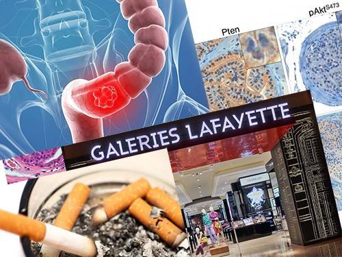 Bf113dcbabf9a18befcc0df1e9ce31fd