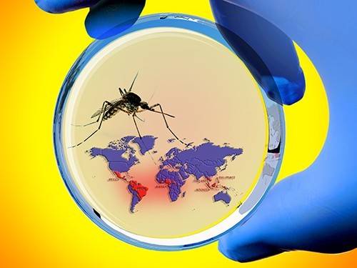 D17868a55b6da590c78189bf5b08edd2