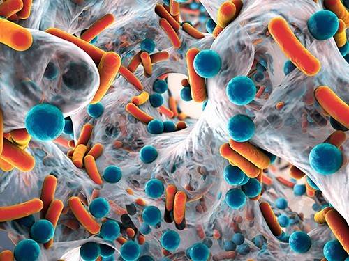 E1f4232d04a10391173b2a9acc27b77d