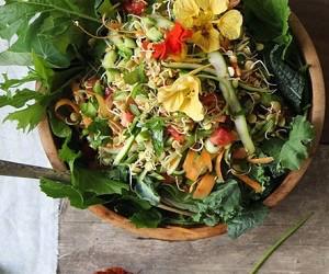 1b193601ba0e28ea47af3692f4e9d73c