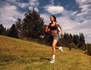 8afb8ccd540ab2181e13d4a1c53c68d0