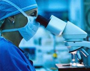 Ab056c9e696caf86e61e55b3c8656636