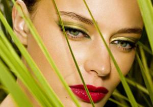 B1fc61de74ece03ed7562c2d97b452dd