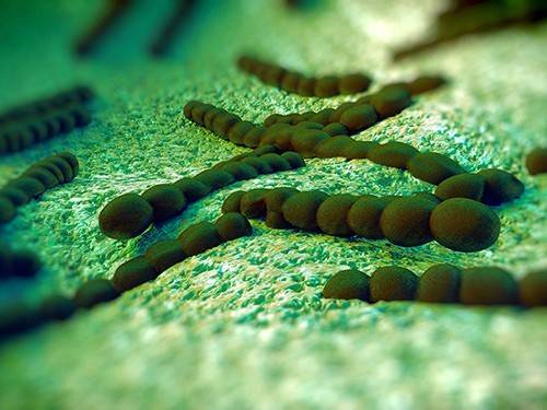 30383e8e1ae23c855ea93e82e9471fb5