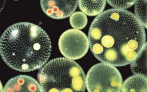 8499569cf301181ca701914042d8a6b7