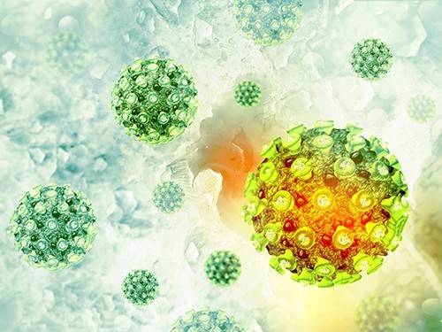 D209e417e445c59c9cefd9cfa5c7de7d