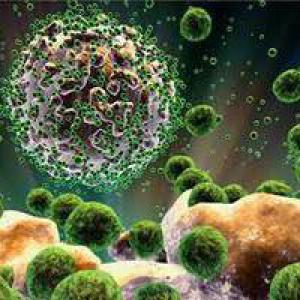 0f0adf9e239528ab01d9641587846d6d