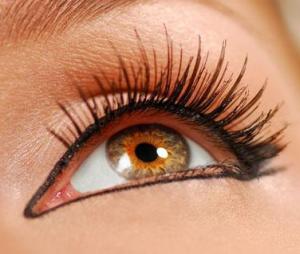 8b3bf1736bfca49e27d350b433851854