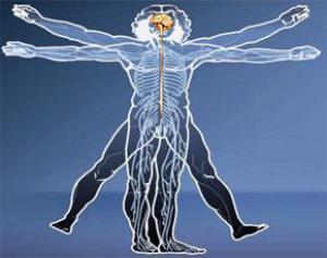 9ea058b3b80a1400e21a7102fa8907b6