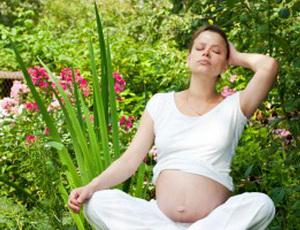 B1d4ea9ce1769303497ed01ba623402f